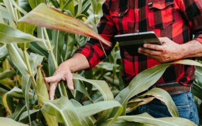 ¿El Cuaderno de Campo te quita el sueño?