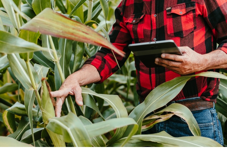¿El Cuaderno de Campo te quita el sueño?